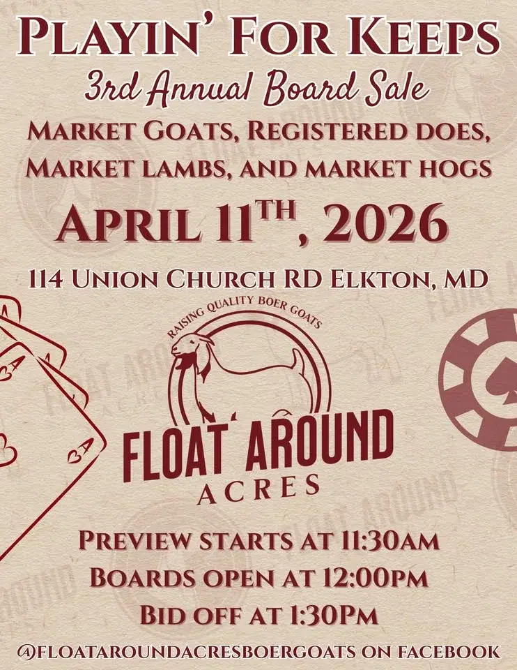 Playin’ for Keeps Annual Board Sale