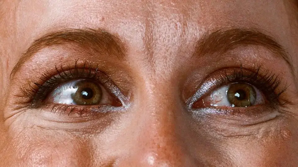 Le testament des célébrités