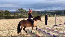 John Cameron Lessons - cavaletti clinic