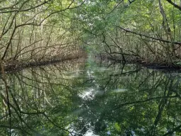 Lär känna din Själ och ditt Ego- Själscirkel 3 tillfällen