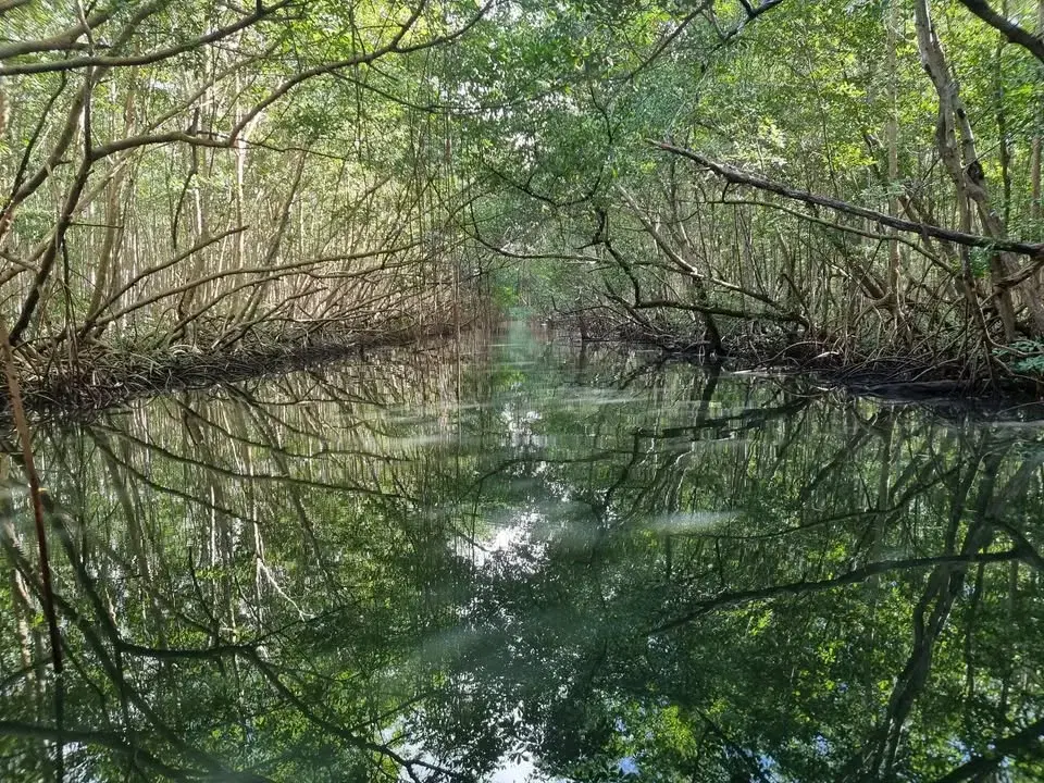 Lär känna din Själ och ditt Ego- Själscirkel 3 tillfällen