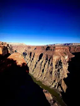 Opening up the Ranch