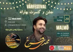 Nowruz Party With Mehdi Farukh in Malmö