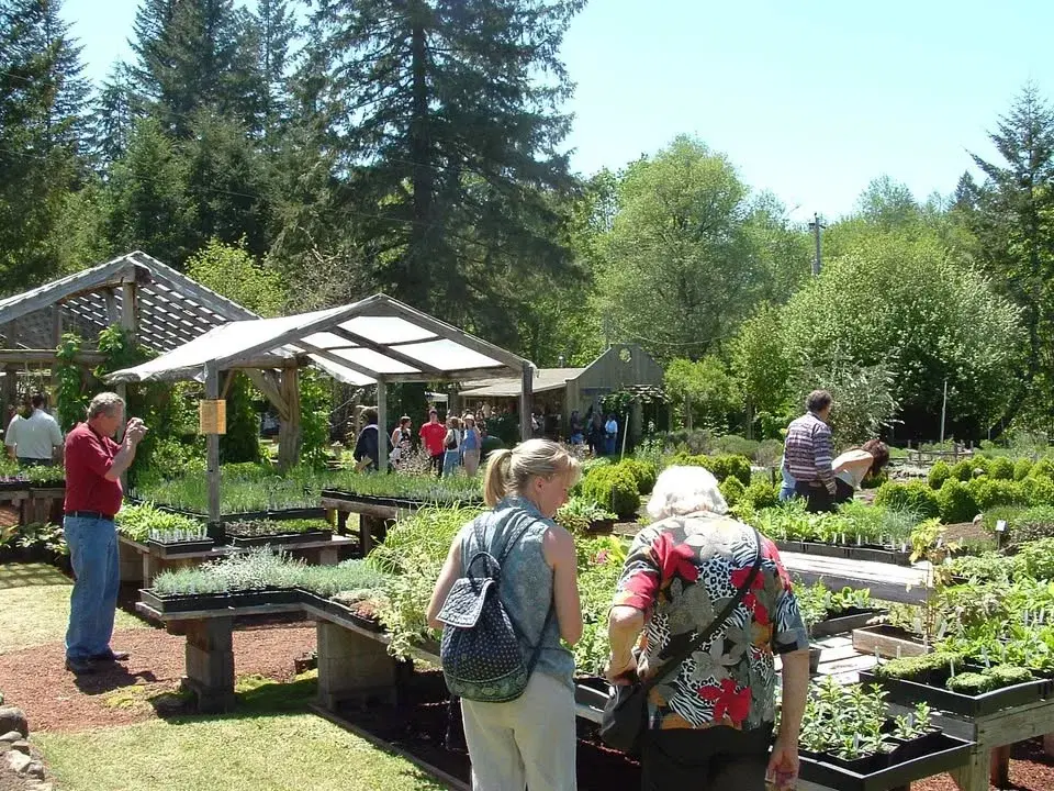 Mother's Day Art in the Garden