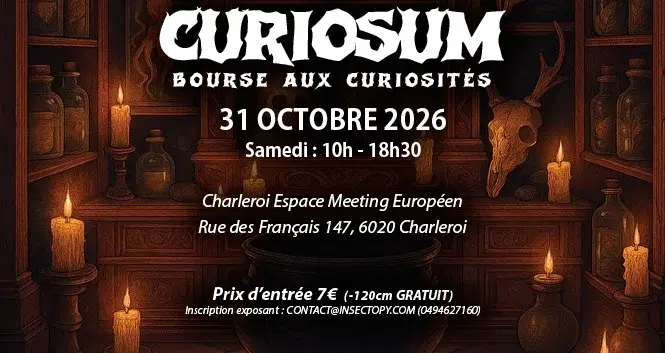 CURIOSUM 2026 - Bourse aux Curiosités - Charleroi