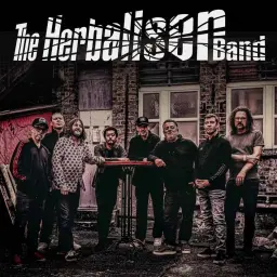 The Herbaliser Band