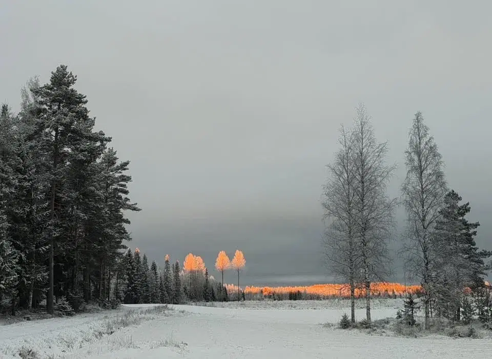 Årsmöte samt info om beredskap