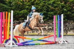 Nord Vue Arena Event