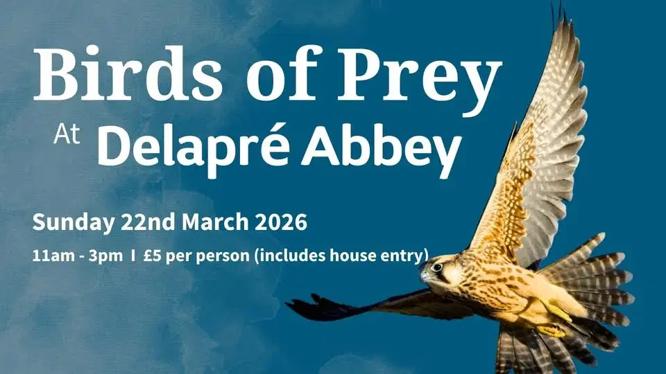 Birds of Prey at Delapré Abbey