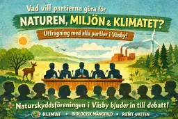 Utfrågning av partierna och mingel med lokalpolitiker