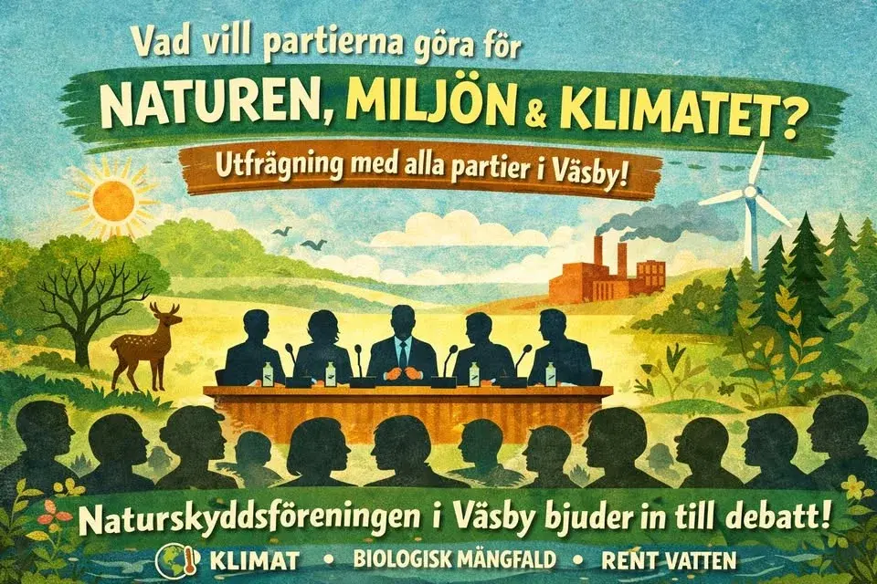 Utfrågning av partierna och mingel med lokalpolitiker