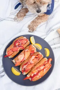 Cousins Maine Lobster in San Francisco, Marina Green