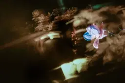 Noah Pierre Band: "Inwards" Album Release Celebration