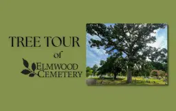Tree Tour of Elmwood Cemetery