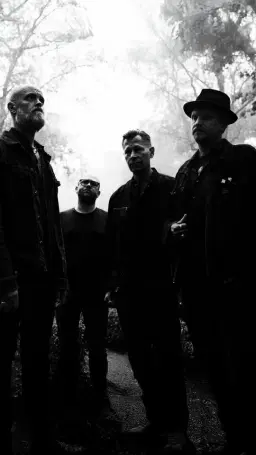 Big Fish + Lina Horner | Hängmattan