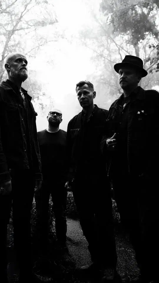 Big Fish + Lina Horner | Hängmattan