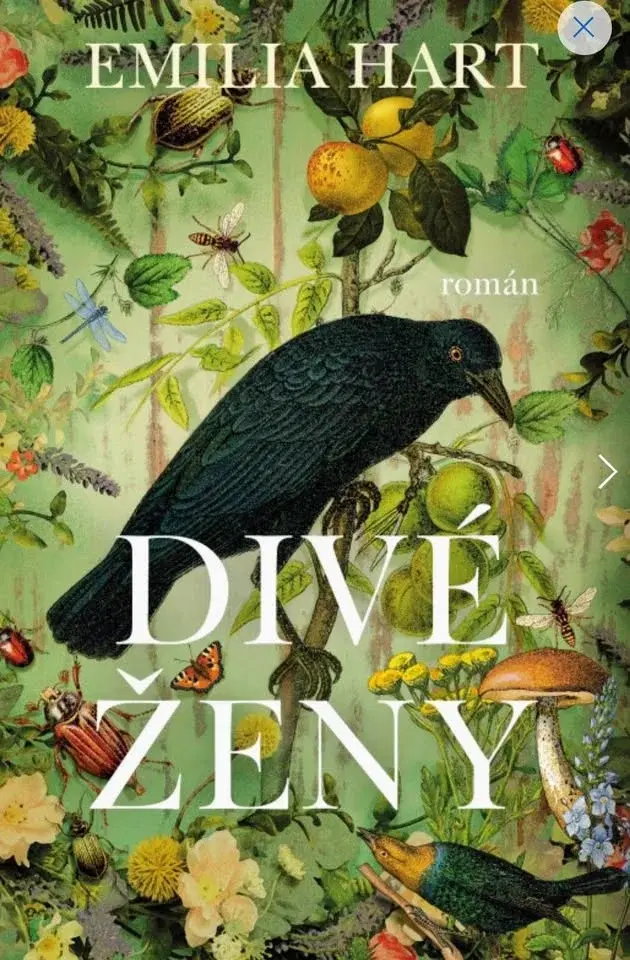 Únorová schůzka - Divé ženy