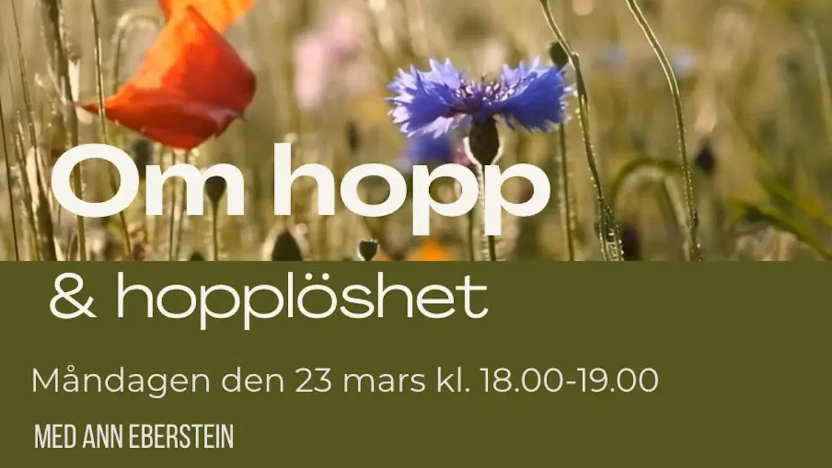 Om hopp och hopplöshet