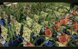 Second Chance Plants LANGHORNE, PA - Grand Opening Weekend