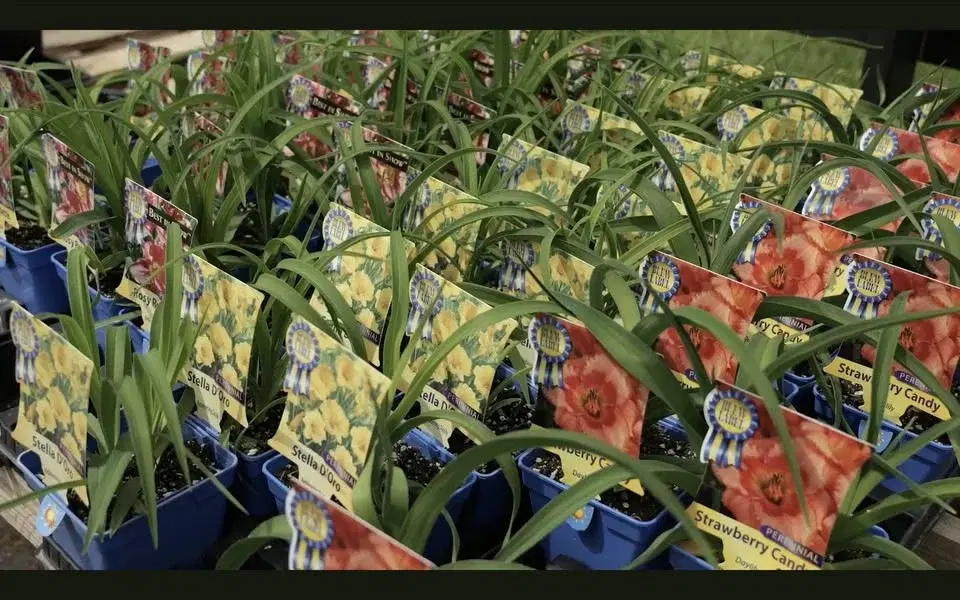 Second Chance Plants LANGHORNE, PA - Grand Opening Weekend