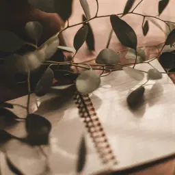 Lluna Talks: Power of Journaling