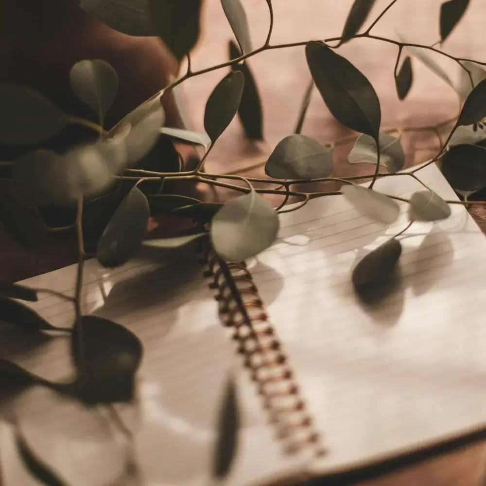 Lluna Talks: Power of Journaling