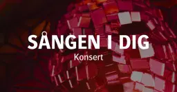 Sången i dig (Konsert)