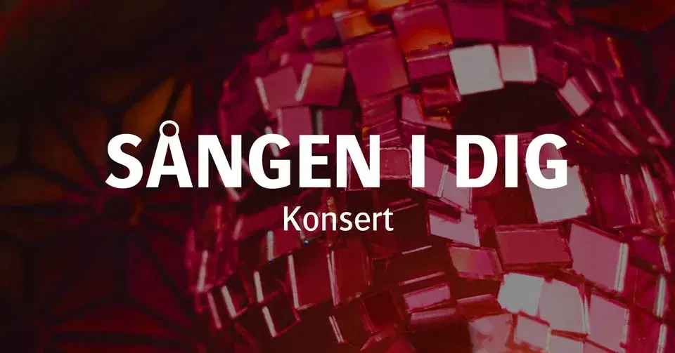 Sången i dig (Konsert)