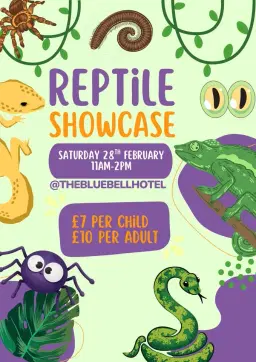 Reptile Showcase