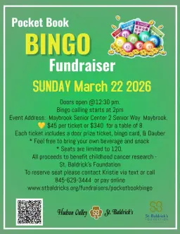 HVSB Pocketbook Bingo