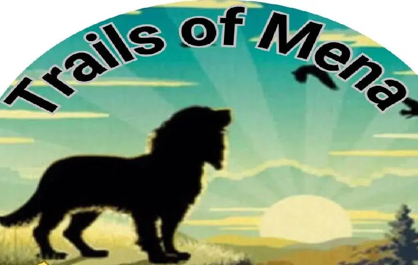 Trails of Mena Marathon and 20 mile run