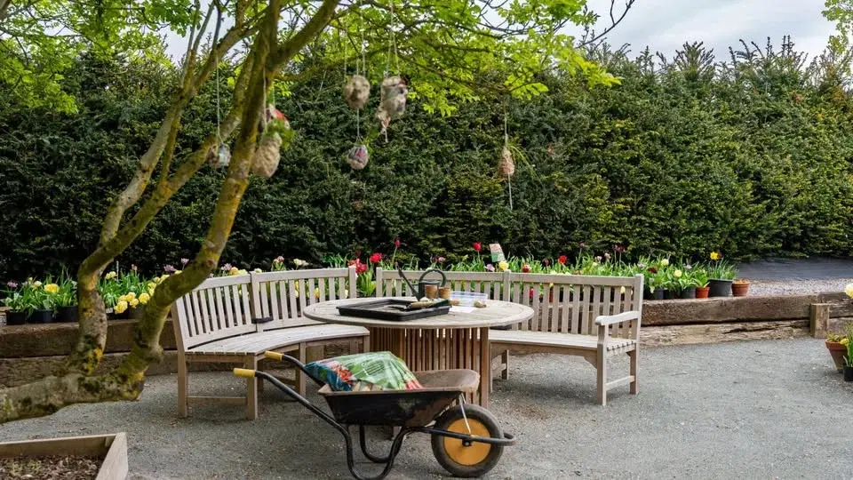 Nene Nursery Open Day (Soup & Soap)