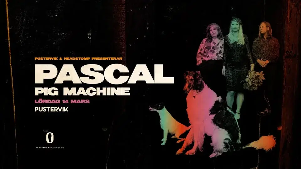 PASCAL +Support: PIG MACHINE• 14 mars • Pustervik