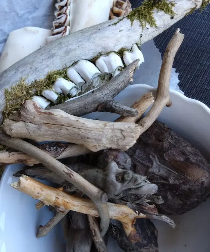 Bones & Stones; workshop