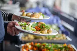 Lunchtrav på Jägersro!