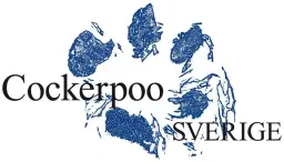 Cockerpooträff Stockholm
