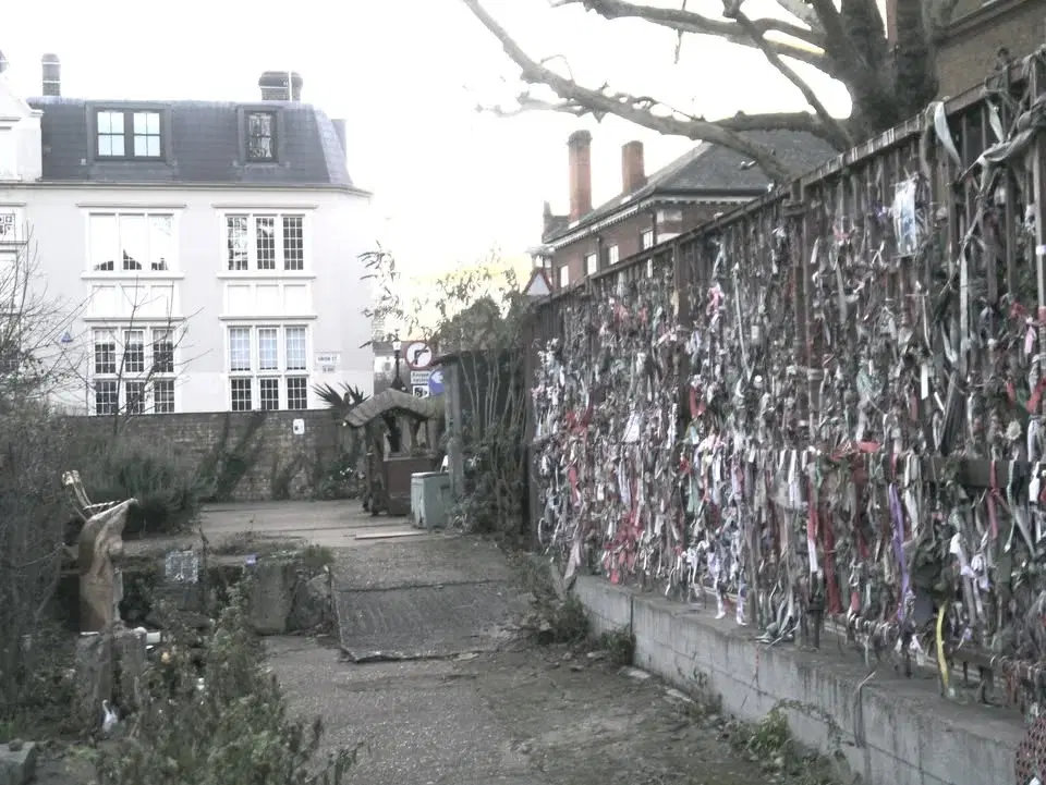 Connecting The Trees, a call to arms