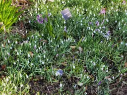 East Preston Festival Spring Fayre