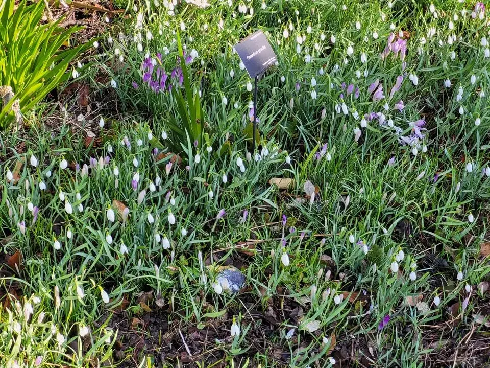 East Preston Festival Spring Fayre