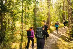 Pilgrimsvandring för kropp och själ