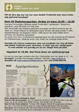 Vårvinterbeskärning på Ekerö