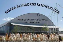 SPRING WINNER INTERNATIONAL VĂNERSBORG