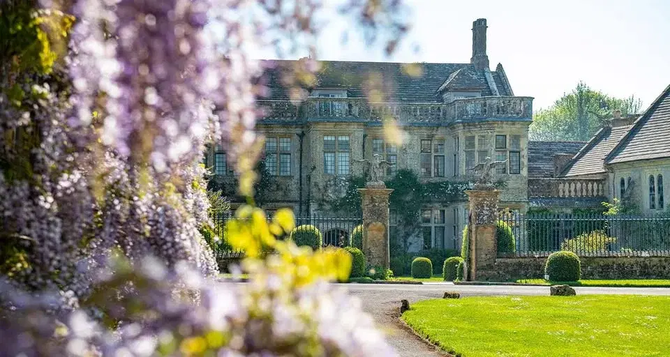 Mapperton Charity Spring Plant Fair