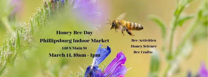 Honey Bee Day @ PFM Indoor Winter Market