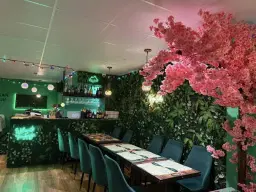 Dr Ishani Rao's Vegan Mental Health Book Launch (Bristol)