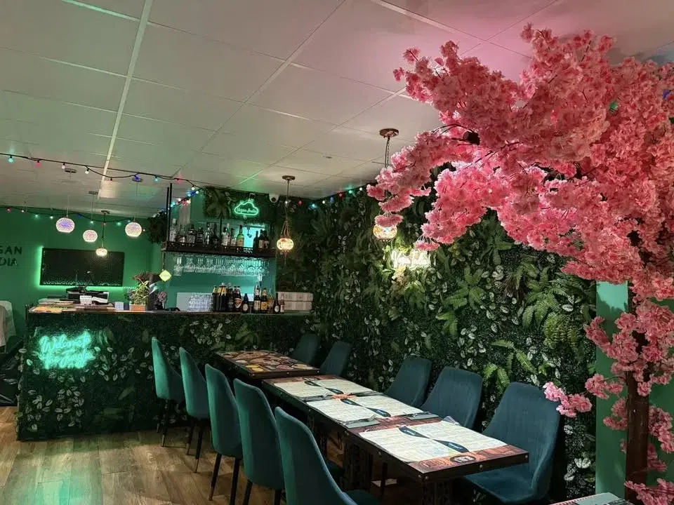 Dr Ishani Rao's Vegan Mental Health Book Launch (Bristol)