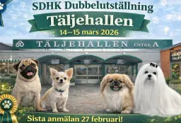 SDHK Nationell Dubbelutställning Södertälje 2026