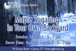 Maple Sugaring in your Own Backyard