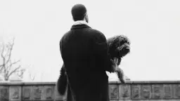 BARMHÄRTIGHETEN | ibodies