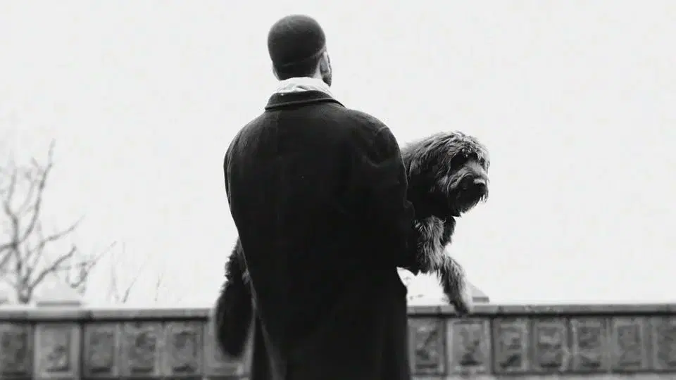 BARMHÄRTIGHETEN | ibodies